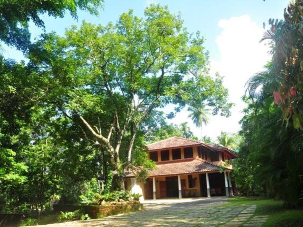 Nature Lovers Resort Ingiriya Ngoại thất bức ảnh